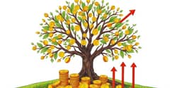 Gestión de Dividendos: Reinversión Estratégica para el Crecimiento